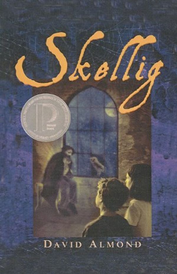 Cover Art for 9780756902186, Skellig by David Almond