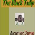 Cover Art for 9781595470720, The Black Tulip by Alexandre Dumas