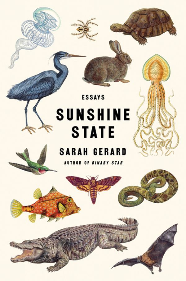 Cover Art for 9780062434876, Sunshine State by Sarah Gerard