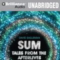 Cover Art for 9781441851543, Sum: Tales from the Afterlives by David Eagleman
