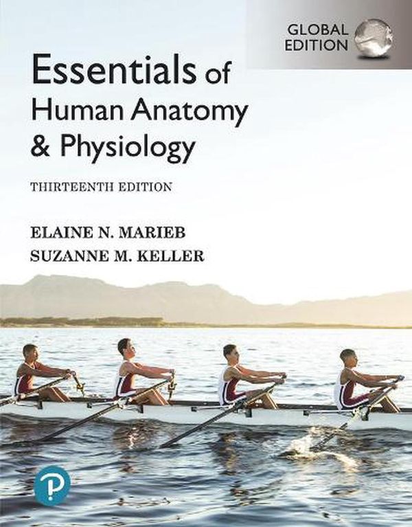 Cover Art for 9781292401942, Essentials of Human Anatomy & Physiology [Global Edition] by Elaine Marieb, Suzanne Keller