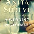 Cover Art for 9780316154758, A Wedding in December by Anita Shreve