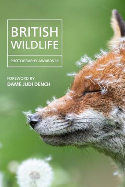 Cover Art for 9781802584172, British Wildlife: Photography Awards 11 by Will Nicholls