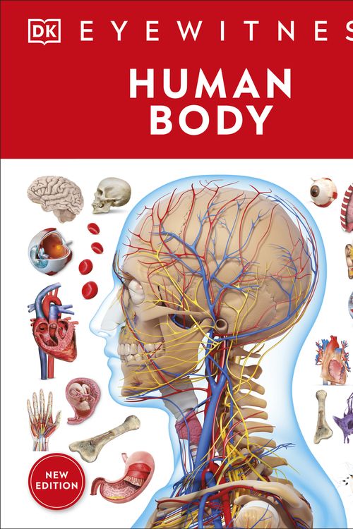 Cover Art for 9780744079920, Human Body by DK