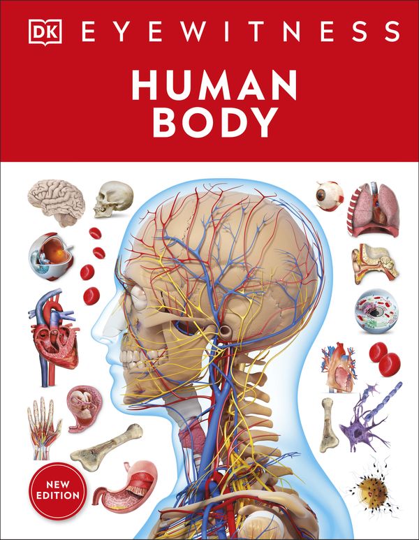 Cover Art for 9780744079920, Human Body by DK