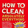 Cover Art for 9781905695690, How to Clean Absolutely Everything by Yvonne Worth, Amanda Blinkhorn
