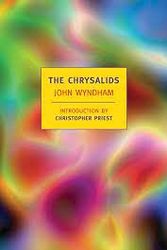 Cover Art for 9780140258943, The Chrysalids by John Wyndham