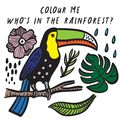 Cover Art for 9781784930950, Colour Me: Who’s in the Rainforest? (Wee Gallery Bath Books) by Surya Sajnani