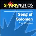 Cover Art for 9781586638269, Song of Solomon : Toni Morrison by Hermann Hesse