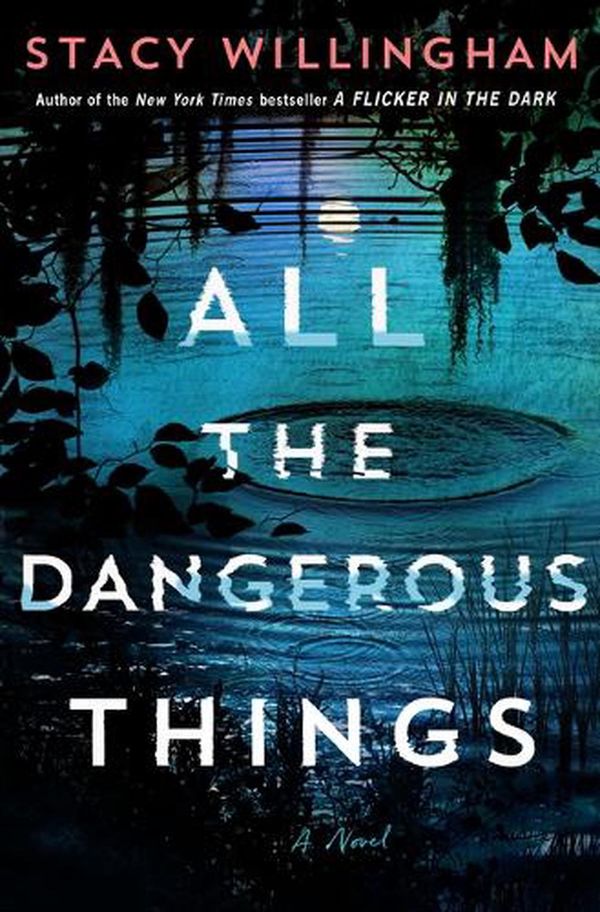 Cover Art for 9798885786829, All the Dangerous Things by Stacy Willingham