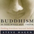 Cover Art for 9780060722395, Buddhism Is Not What You Think by Steve Hagen