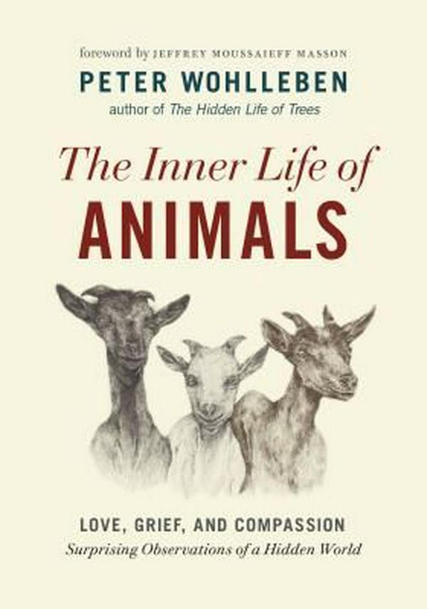 Cover Art for 9781771643016, The Inner Life of AnimalsLove, Grief, and Compassion--Surprising Observa... by Peter Wohlleben