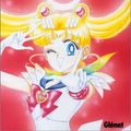 Cover Art for 9782723421881, Sailormoon. 10, Sailor Saturne by Naoko Takeuchi