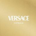 Cover Art for 9780500023808, Versace Catwalk: The Complete Collections by Tim Blanks