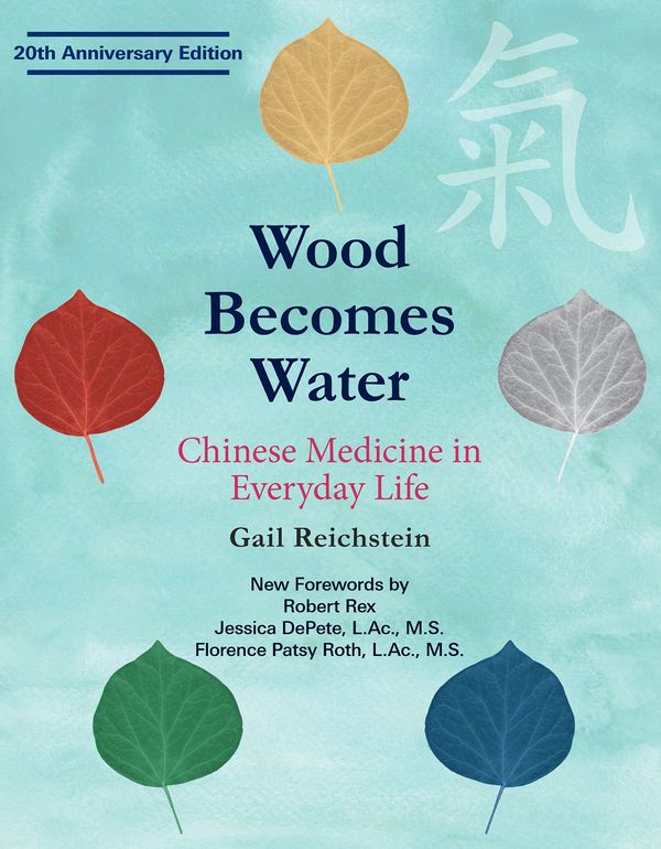 Cover Art for 9781568365886, Wood Becomes Water: Chinese Medicine in Everyday Life by Gail Reichstein