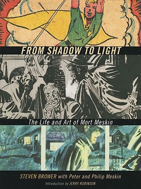 Cover Art for 9781606993583, From Shadow to Light by Steven Brower