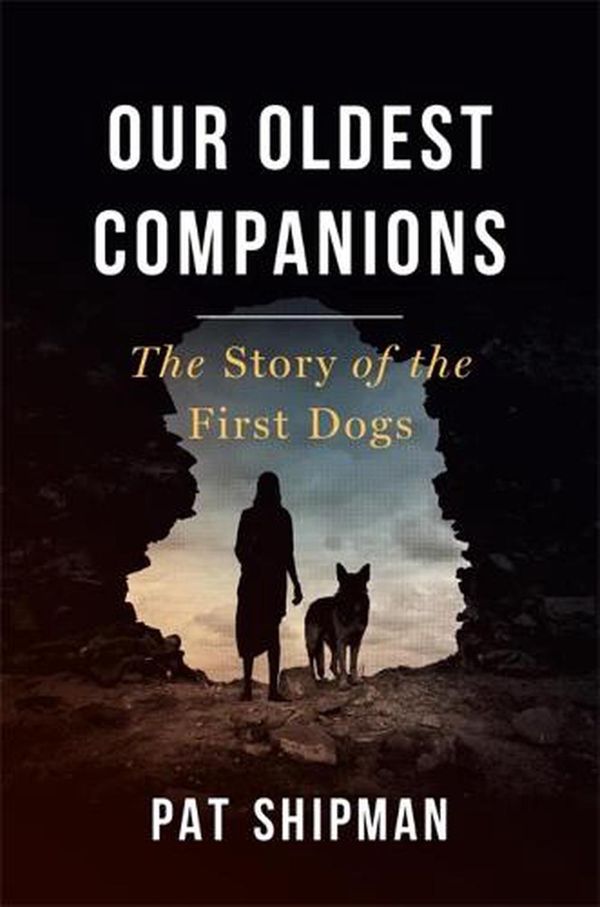 Cover Art for 9780674971936, Our Oldest Companions by Pat Shipman