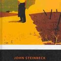 Cover Art for 9780756971007, The Grapes of Wrath by John Steinbeck