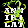 Cover Art for 9782253183785, Annihilation (The southern trilogy, Tome 1) by Jeff VanderMeer