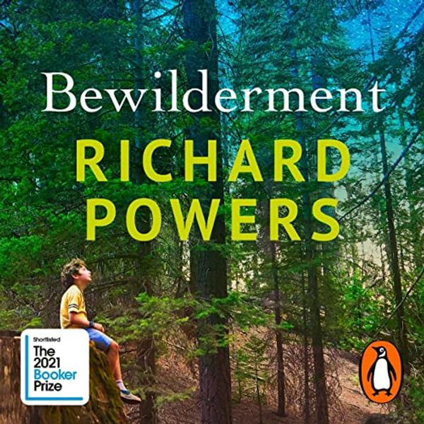 Cover Art for B095X2ZKJS, Bewilderment by Richard Powers