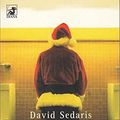 Cover Art for 9783453190160, Holidays on Ice. Neue Geschichten. by David Sedaris