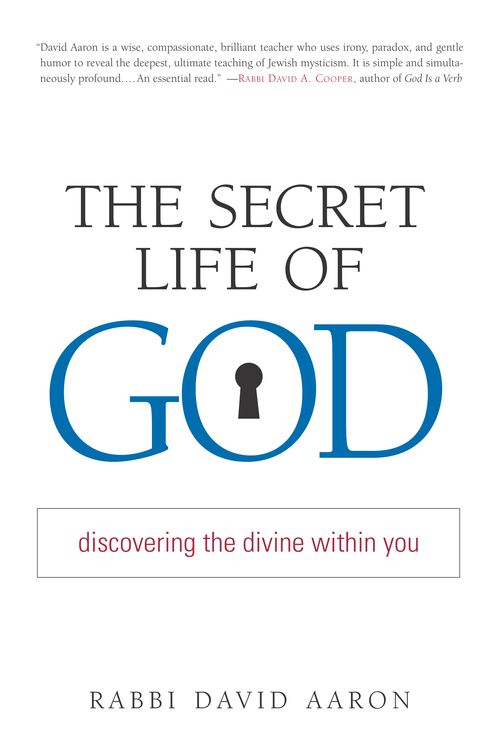 Cover Art for 9781590302392, The Secret Life Of God by David Aaron