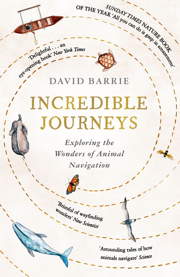 Cover Art for 9781473656857, Incredible Journeys: Exploring the Wonders of Animal Navigation by David Barrie