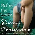Cover Art for 9781408927939, Before the Storm by Diane Chamberlain