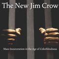 Cover Art for 9781595588197, The New Jim Crow by Michelle Alexander