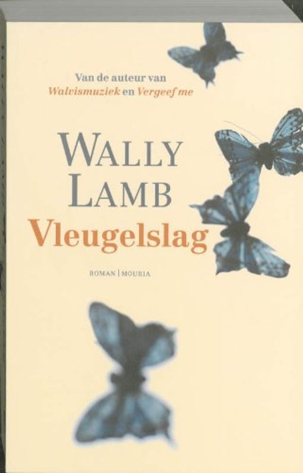 Cover Art for 9789045800745, Vleugelslag by Wally Lamb