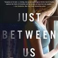 Cover Art for 9781250217370, Just Between Us by Rebecca Drake