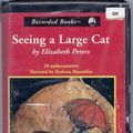 Cover Art for 9780788712975, Seeing a Large Cat by Elizabeth Peters