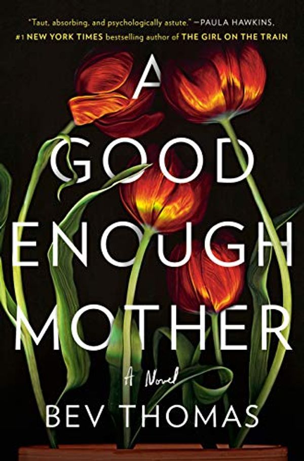Cover Art for 9780525561255, A Good Enough Mother by Bev Thomas