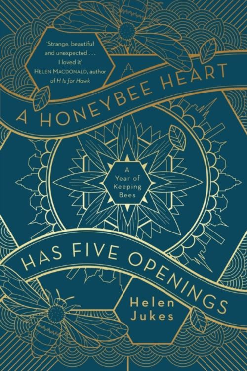 Cover Art for 9781471167713, A Honeybee Heart Has Five Openings by Helen Jukes