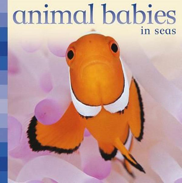 Cover Art for 9780753459454, Animal Babies in Seas by Kingfisher Books