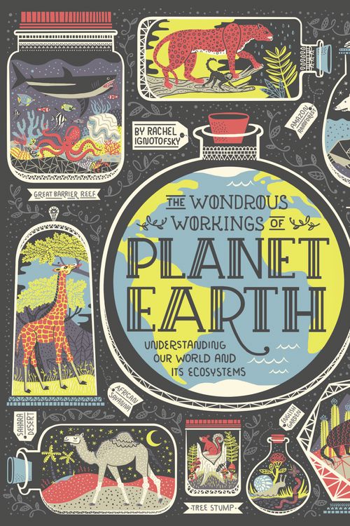Cover Art for 9780399580413, The Wondrous Workings of Planet Earth: Understanding Our World and Its Ecosystems by Rachel Ignotofsky