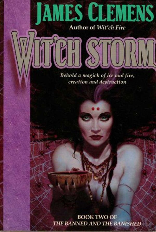 Cover Art for 9780739403181, Wit'ch Storm by James Clemens