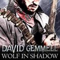 Cover Art for 9781405538039, Wolf In Shadow by David Gemmell