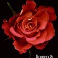 Cover Art for 9780062023292, Romeo and Juliet Complete Text with Extras by William Shakespeare