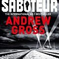 Cover Art for 9781509831579, The Saboteur by Andrew Gross