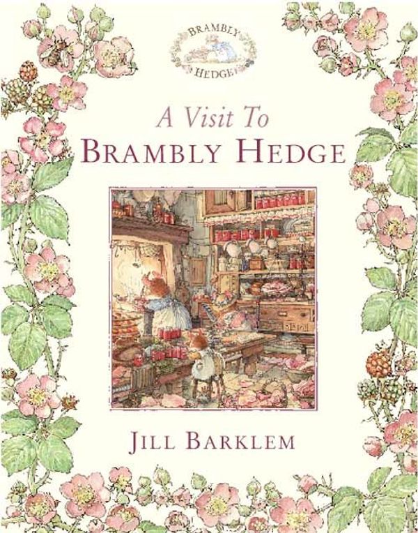 Cover Art for 9780001983458, A Visit to Brambly Hedge by Jill Barklem, Jane Fior