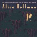 Cover Art for 9780425161289, Turtle Moon by Alice Hoffman