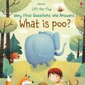 Cover Art for 9781474917902, What is Poo? (Very First Lift-the-Flap Questions and Answers) by Katie Daynes