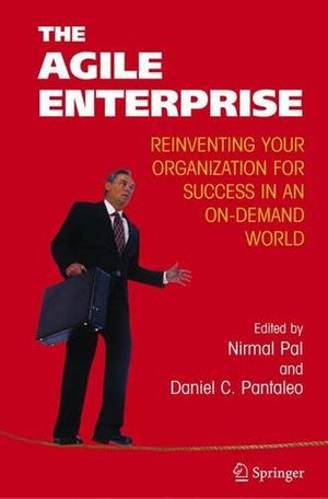 Cover Art for 9780387243733, The Agile Enterprise: Reinventing your Organization for Success in an On-Demand World by [edited by] Nirmal Pal, Daniel C. Pantaleo