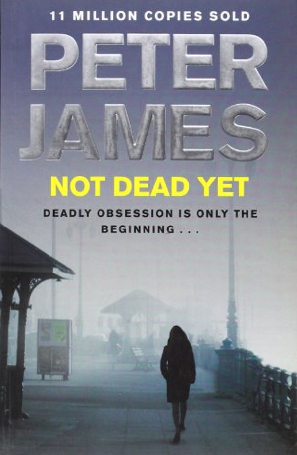 Cover Art for 9780230747272, Not Dead Yet by Peter James