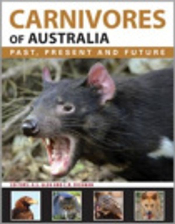 Cover Art for 9780643103177, Carnivores of Australia: Past, Present and Future by Alistair Glen, Christopher Dickman