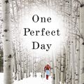 Cover Art for 9780446544580, One Perfect Day by Lauraine Snelling