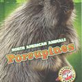 Cover Art for 9781626172623, Porcupines by Christina Leaf