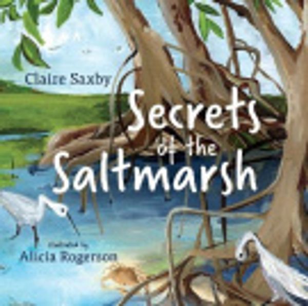 Cover Art for 9781486317158, Secrets of the Saltmarsh by Claire Saxby