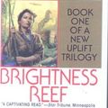 Cover Art for 9780606169837, Brightness Reef by David Brin